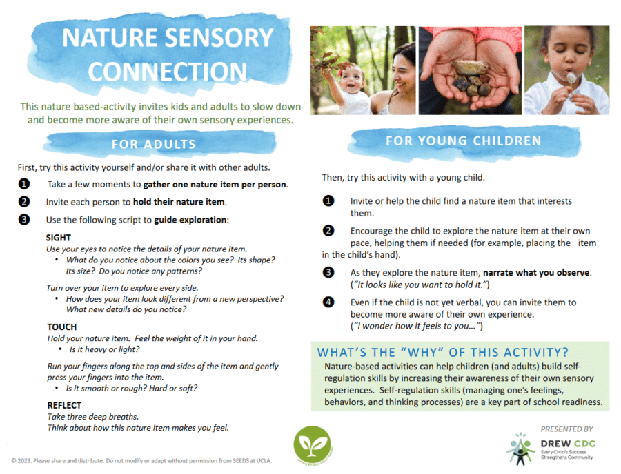 Nature Sensory Connection Infographic