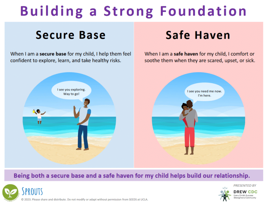 Building a Strong Foundation Infographic
