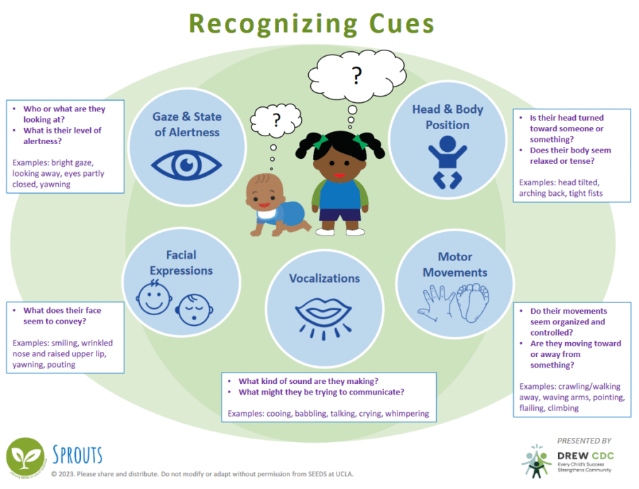 Recognizing Cues Infographic