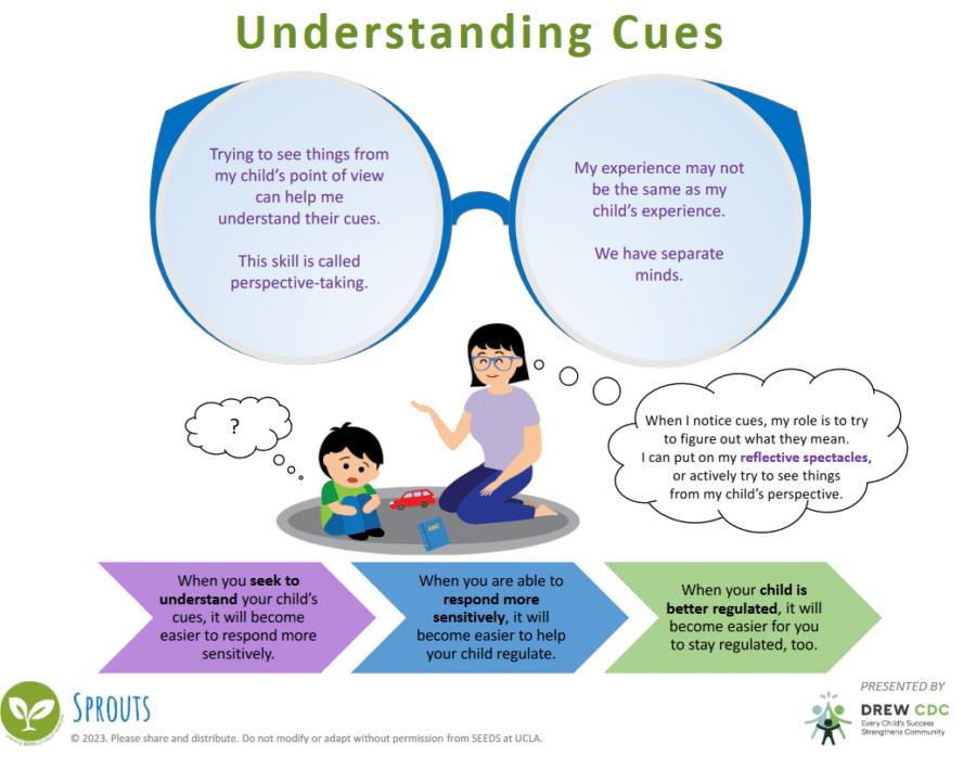 Understanding Cues Infographic